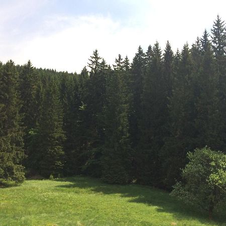 Appartements Und Ferienhaus Gasthof Kanzlersgrund Обергоф Екстер'єр фото