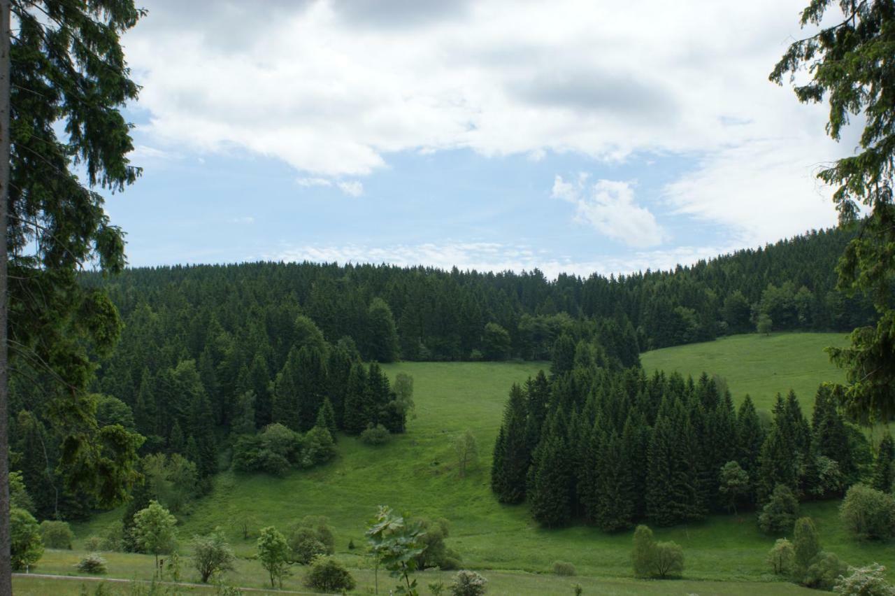 Appartements Und Ferienhaus Gasthof Kanzlersgrund Обергоф Екстер'єр фото