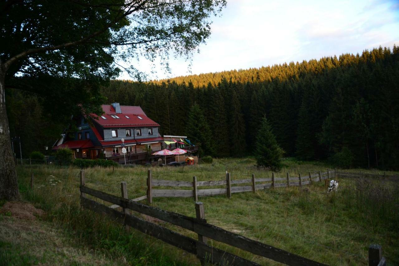 Appartements Und Ferienhaus Gasthof Kanzlersgrund Обергоф Екстер'єр фото
